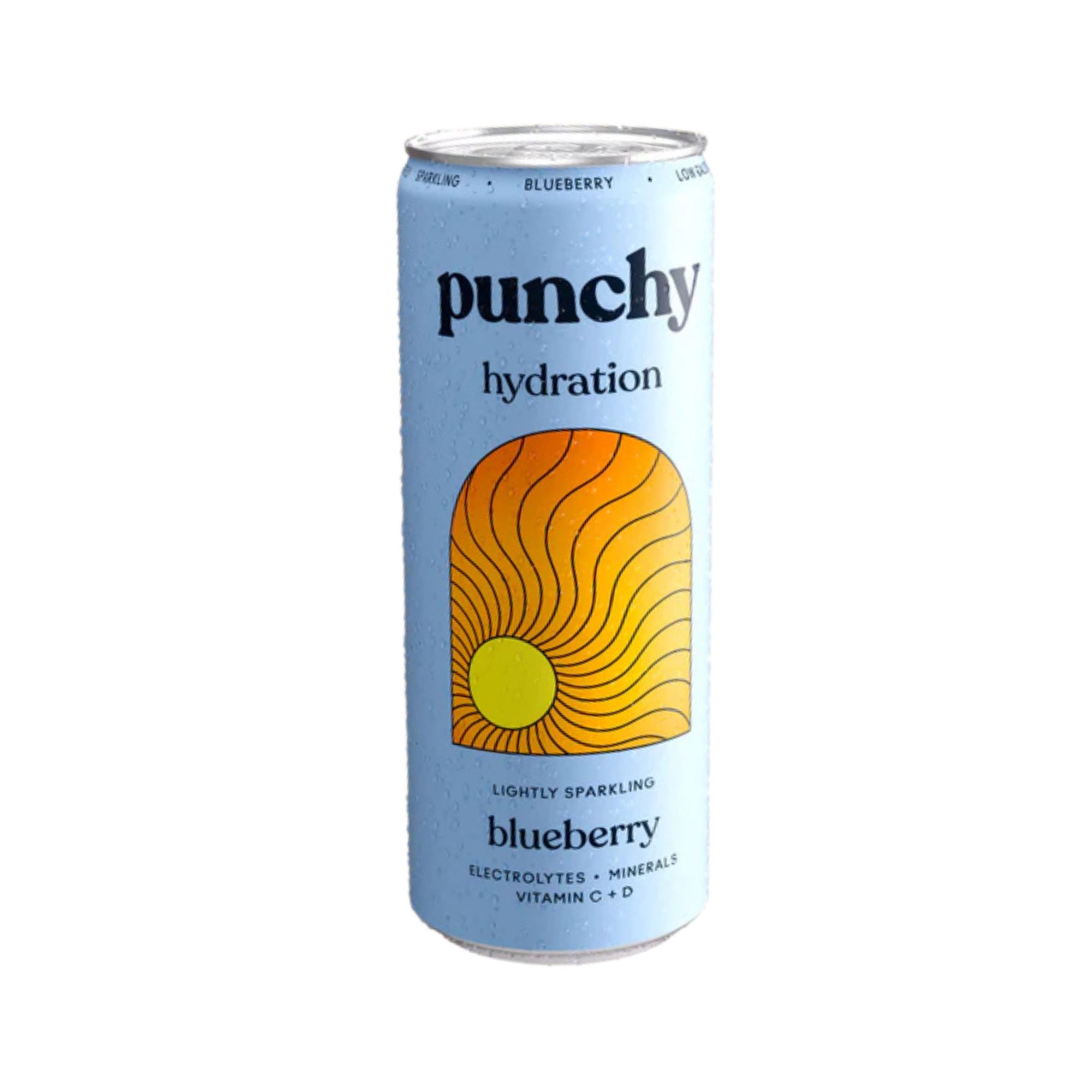 Lightly Sparkling Drink - Blueberry (12x330ml)