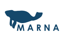 Marna